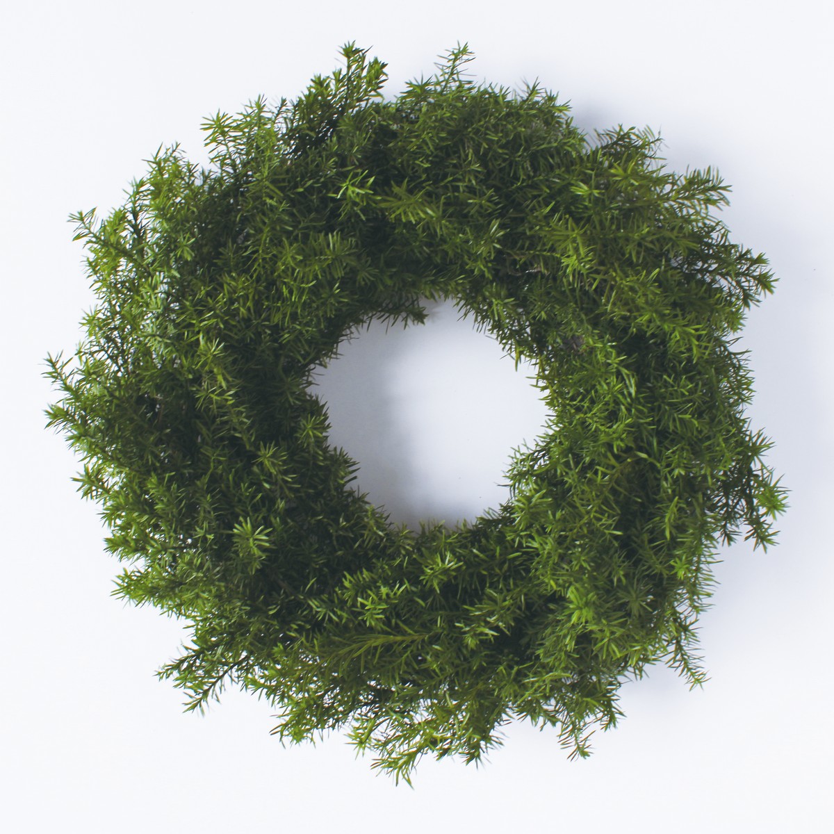 アウトレット◎【プリザーブド】大地農園/森のリース・ヒムロスギ・S フォレストグリーン/MR321-780