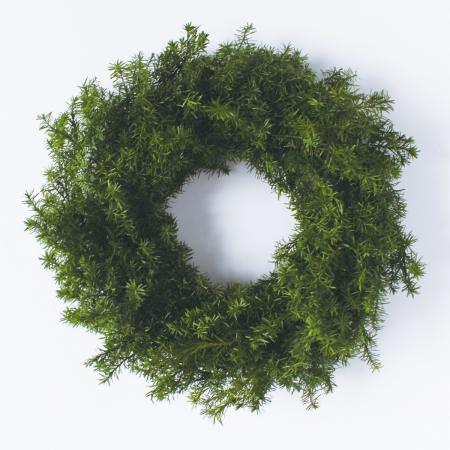 アウトレット◎【プリザーブド】大地農園/森のリース・ヒムロスギ・S フォレストグリーン/MR321-780