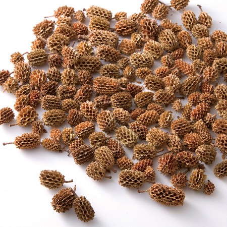 アウトレット◎【ドライ】東花/カスリナパッド ナチュラル 約100g/66022