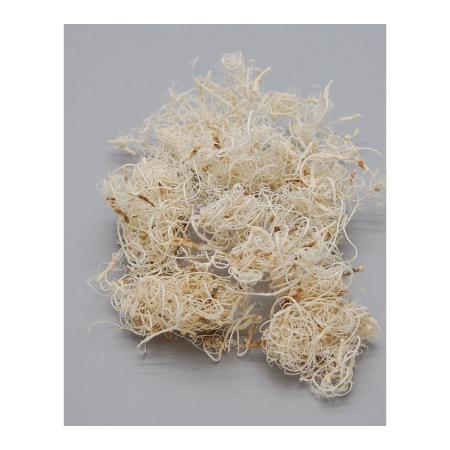 アウトレット◎【ドライ】コアトレーディング/タマリンドファイバー 約60g サラシ/18209