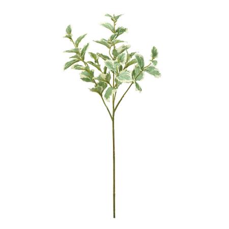 アウトレット◎【造花】MAGIQ東京堂/ワイルドミント #22 CR/GR クリームグリーン/FG000520-022