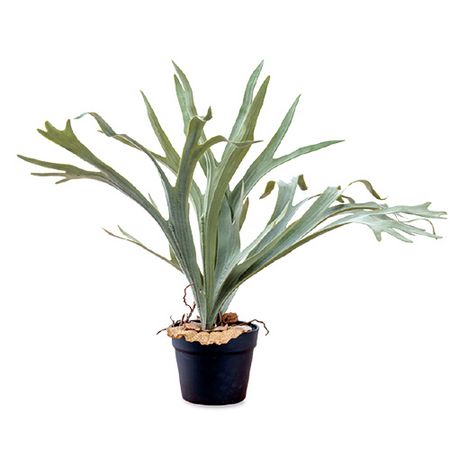 アウトレット◎【造花】POSH LIVING/コウモリラン/80977