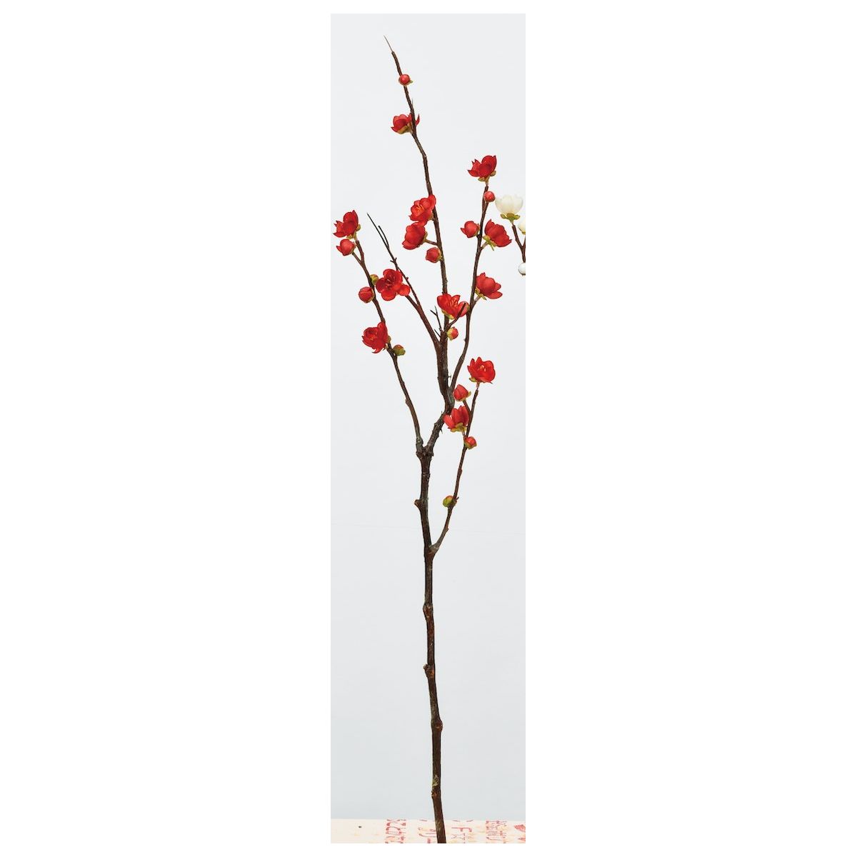アウトレット◎【造花】アスカ/梅×8 つぼみ×12 #002 レッド/A-33867-2
