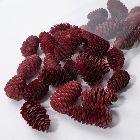 アウトレット◎ホワイエ/マテリアルロングコーン 12コセット/8400556