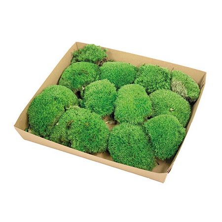 アウトレット◎【プリザーブド】フロールエバー/ポールモス 大袋 グリーン/FL824-800