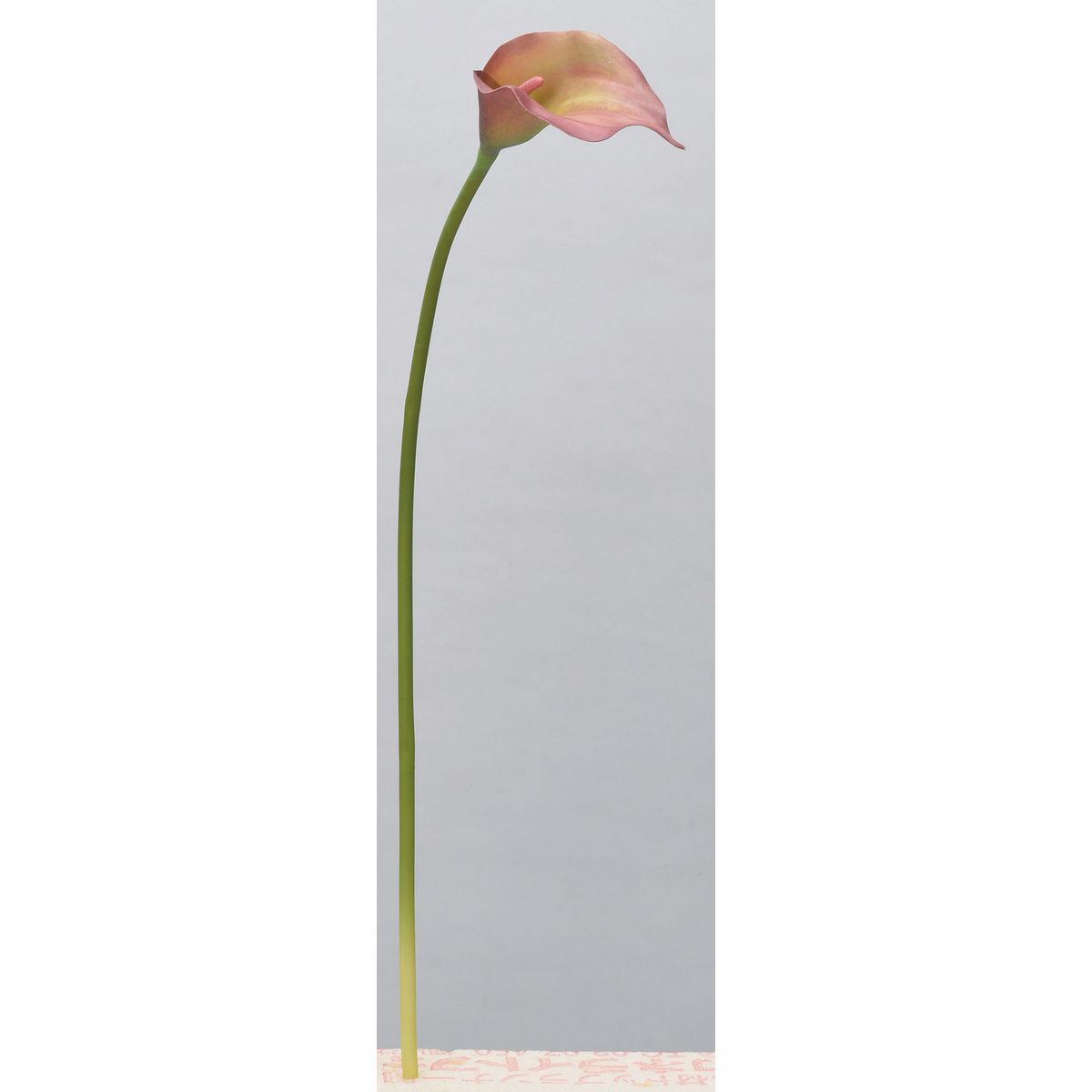 アウトレット◎【造花】アスカ/カラーリリィ #015G バーガンディグリーン/A-34317-15G