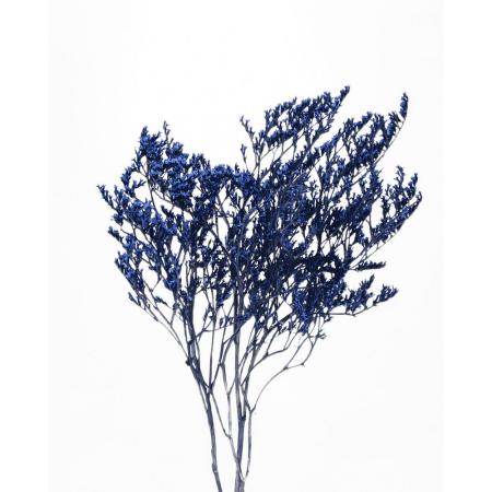 アウトレット◎【ドライ】東花/タタリカ 約20g ロイヤルブルー/79069