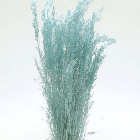 アウトレット◎【ドライ】東花/アグロスティス 約10g グレイッシュブルー/76107