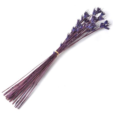 アウトレット◎【ドライ】フロールエバー/ニゲラ 約20g パープル/FLDR0025-960