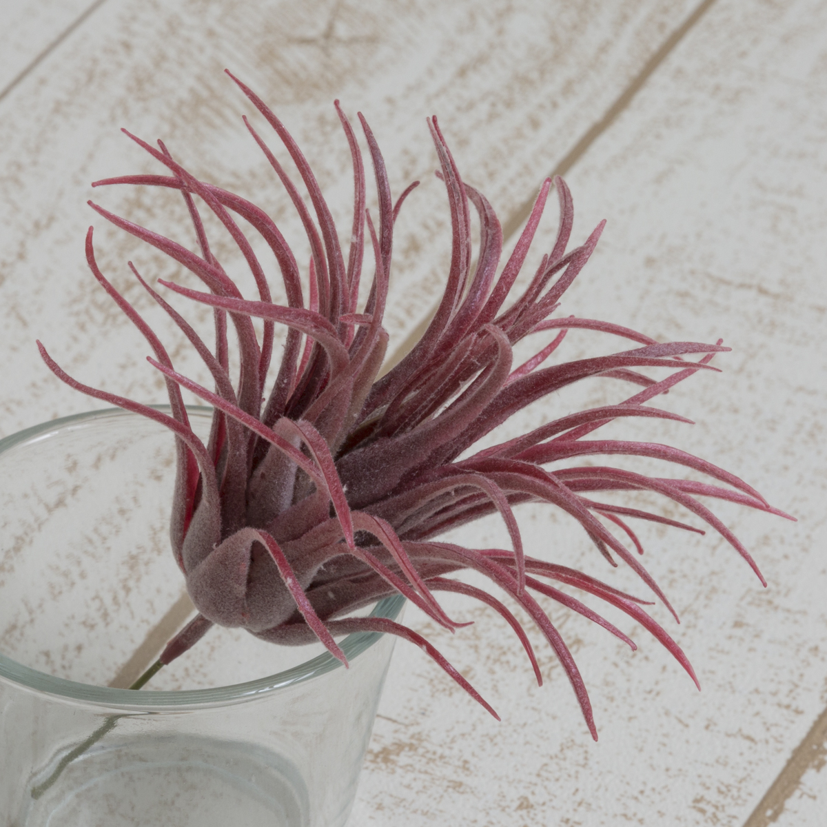 アウトレット◎【造花】YDM/チランジア バーガンディー/FG4446-BUR