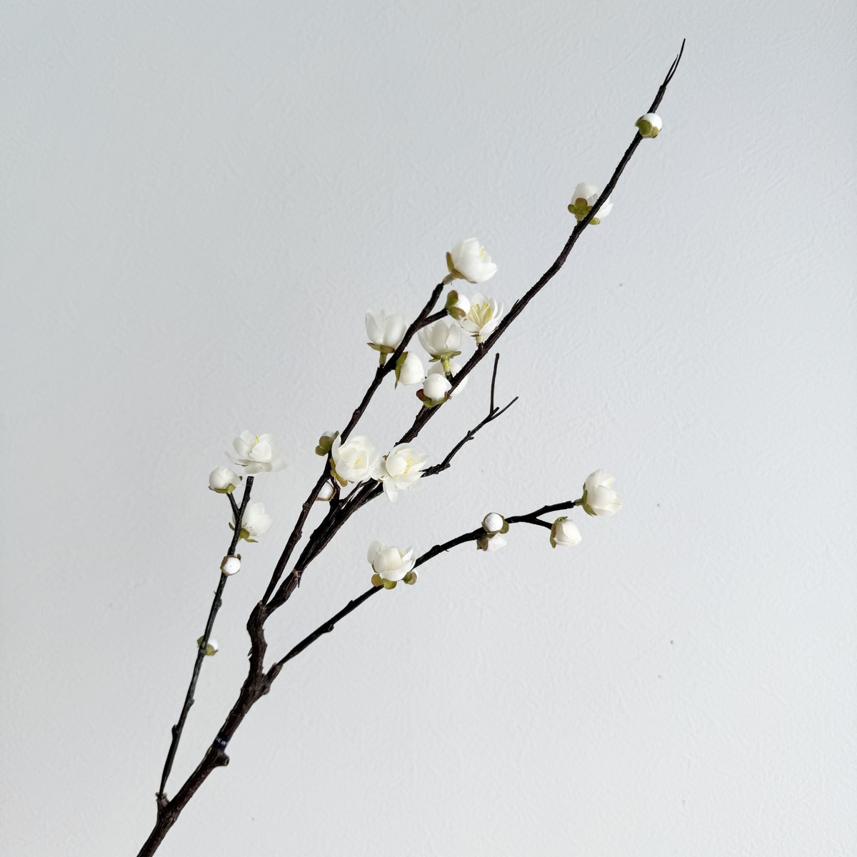 アウトレット◎【造花】アスカ/梅×8 つぼみ×12 #011 クリームホワイト/A-33867-11