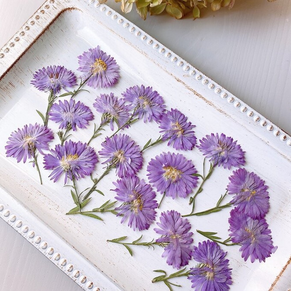 アウトレット◎【ドライ】m flowers/押し花 孔雀アスター カクテルドレス