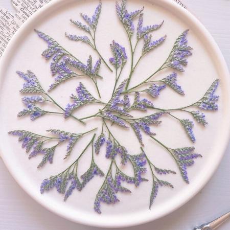 アウトレット◎【ドライ】m flowers/押し花 ハイブリッドスターチス サフォラ