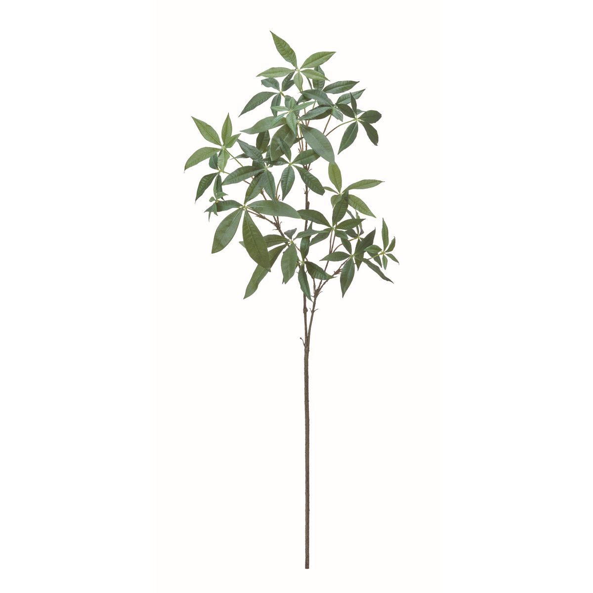 アウトレット◎【造花】アスカ/パキラ #051A グリーン/A-44761-51A