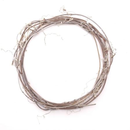 アウトレット◎大地農園/ライトリース・サンキライ20cm 5個 ウォッシュホワイト/75242-010