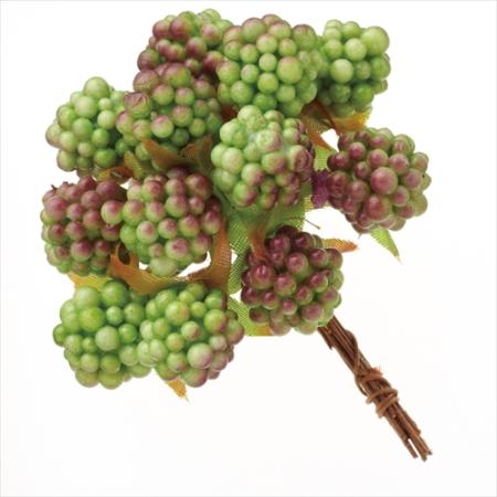 アウトレット◎大地農園/ラズベリー・13mm 24本 グリーン/23401-700