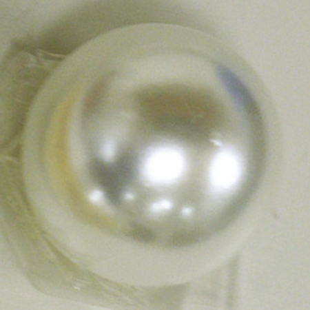 アウトレット◎NBK日本紐釦貿易/パール釦(ボタン) 8mm 10個/LW4321-8