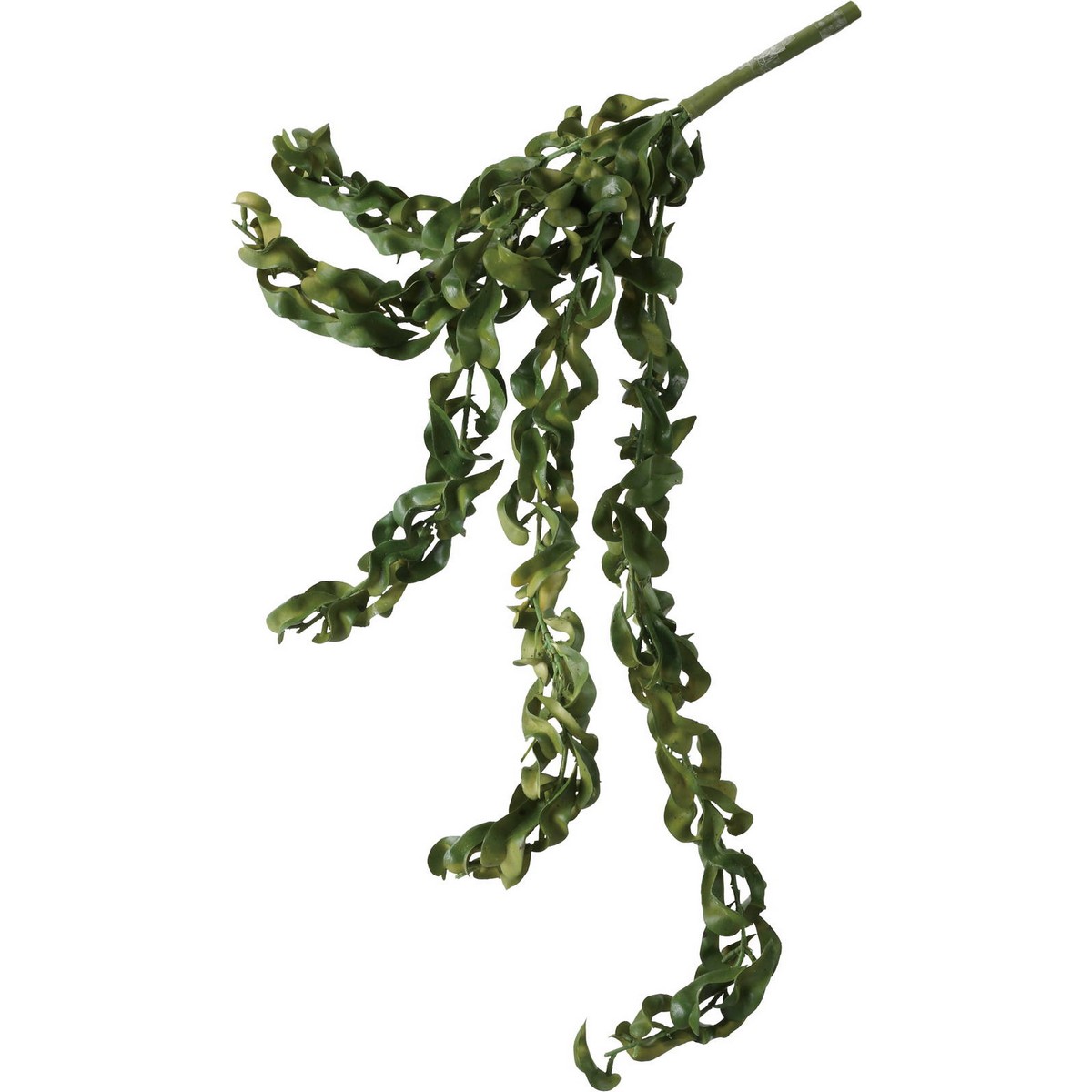 アウトレット◎【造花】YDM/エスキナンサスハンガー GR/GL -5261-GR