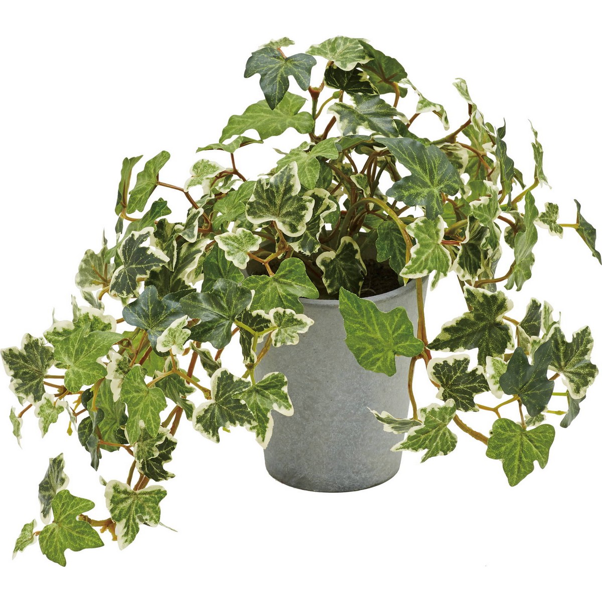 アウトレット◎【人工観葉植物】YDM/イングリッシュアイビーポット GR/GLA-1527-GR