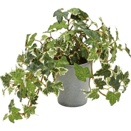 アウトレット◎【人工観葉植物】YDM/イングリッシュアイビーポット GR/GLA-1527-GR