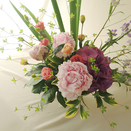 直前 芍薬 サラベル 淡ピンク Ja中野市など 開花説明をお読み下さい 生花 通販 はなどんやアソシエ 直前 芍薬 サラベル 淡ピンク Ja中野市など 開花説明をお読み下さい 生花 通販 はなどんやアソシエ