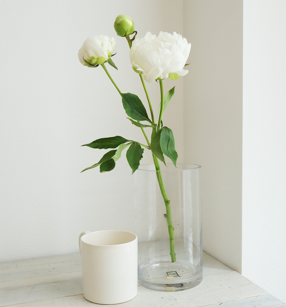 直前 すずきの百合の芍薬 白雪姫 通販 はなどんやアソシエ 直前 すずきの百合の芍薬 白雪姫 通販 はなどんやアソシエ