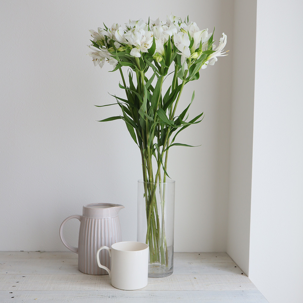 最大86 オフ アルストロメリアの花束 品種おまかせ 最大86 オフ アルストロメリアの花束 品種おまかせ