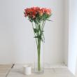 【生花】アルストロメリア 　コルシカ(ブリックレッド)60cm-【IT-30】※30本単位