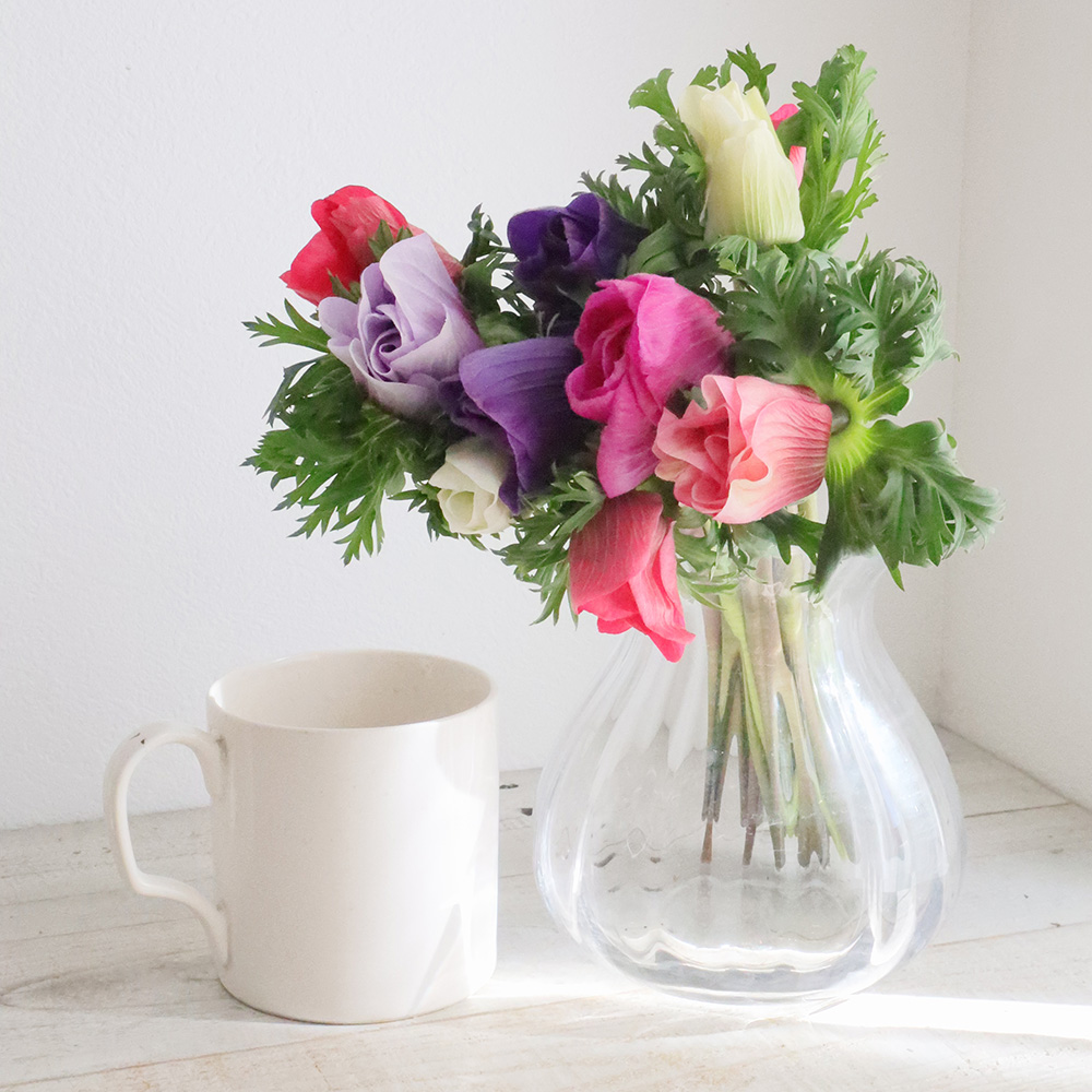 生花 アネモネ モナリザ Mix 30cm 通販 はなどんやアソシエ 生花 アネモネ モナリザ Mix 30cm 通販 はなどんやアソシエ