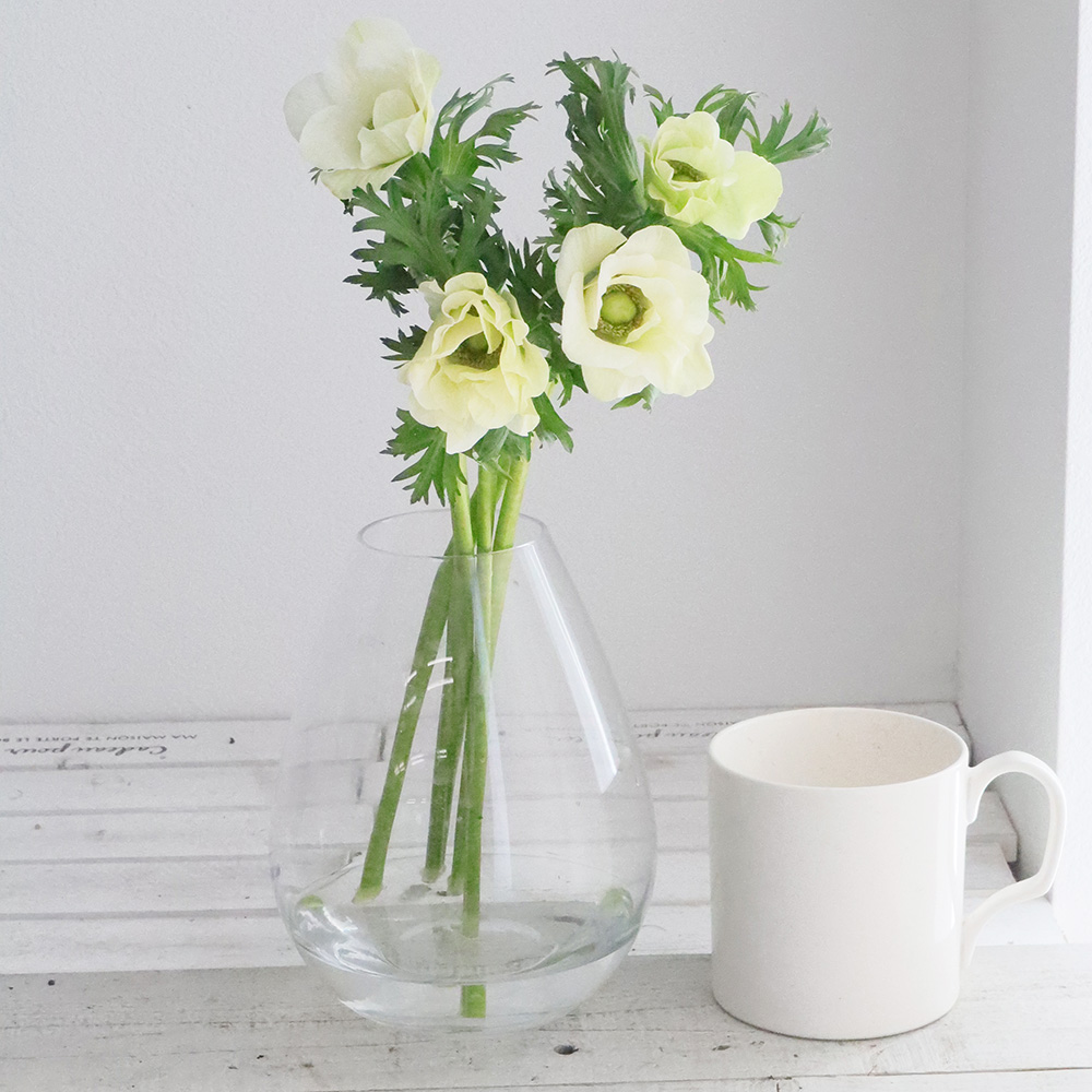 生花 アネモネ モナリザ 白 単色 Lサイズ40cm 早締切 74 通販 はなどんやアソシエ 生花 アネモネ モナリザ 白 単色 Lサイズ40cm 早締切 74 通販 はなどんやアソシエ