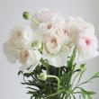 【生花】ラナンキュラス　セルベール(白系)40cm-　【早締切-22】フラワー西村