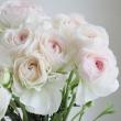 【生花】ラナンキュラス　セルベール(白系)40cm-　【早締切-22】フラワー西村