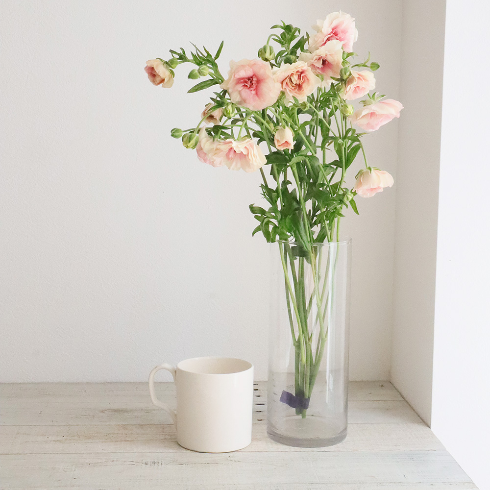 直前 ラックス系 ラナンキュラス アリアドネ ピンク系 生花 通販 はなどんやアソシエ 直前 ラックス系 ラナンキュラス アリアドネ ピンク系 生花 通販 はなどんやアソシエ