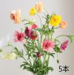 【生花】金井園芸ラックス(おまかせ5色ミックス)50cm【早締切-22】