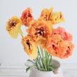 【生花】ラナンキュラス　オレンジシャルロット30cm　桂農園【早締切-74】※入荷少