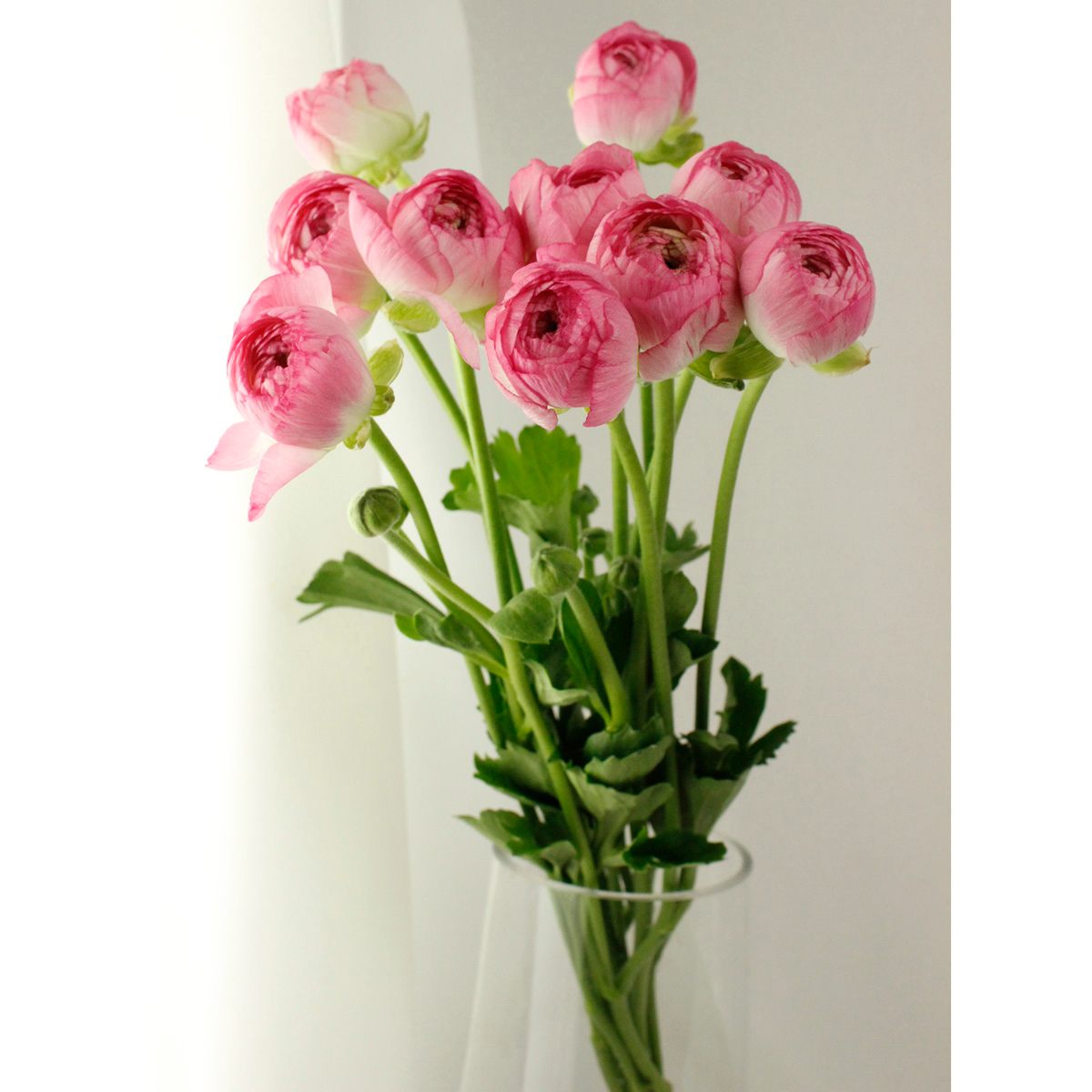 Jun♡ピンク系のバラとラナンキュラスが可愛いリース Jun様専用♡ピンク系のバラとラナンキュラスが可愛いリース