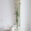 【直前】【生花】ラナンキュラス　M.メリージャ(黄色・モロッコ咲き)40cm-【早締切-22】フラワー西村
