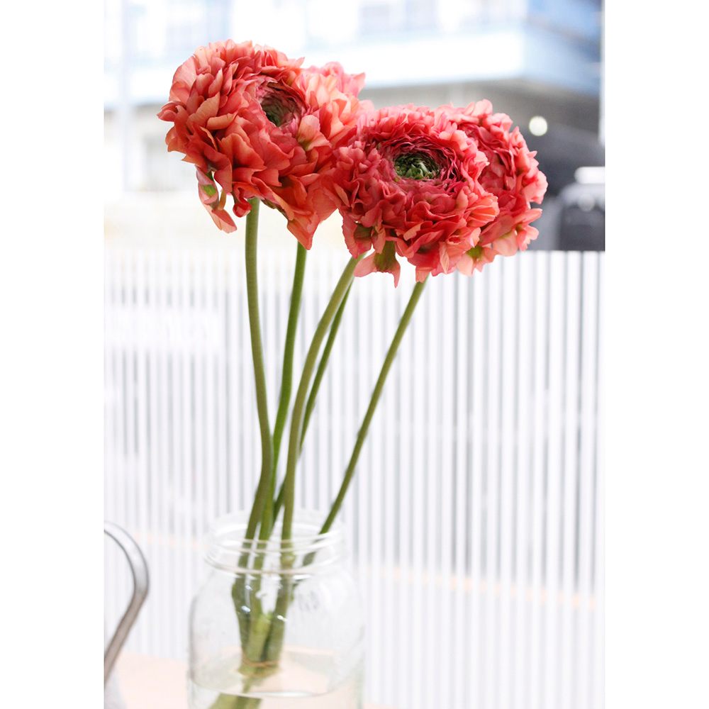 通販 はなどんやアソシエ