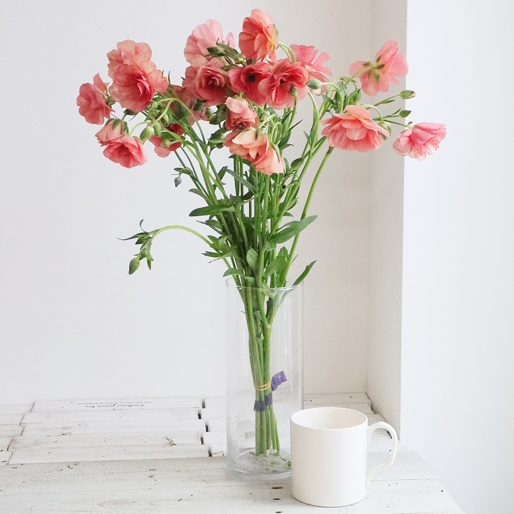 生花 ラナンキュラス ラックス エリス Ita 通販 はなどんやアソシエ