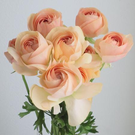 クリーム色 ラナンキュラス アートフラワー 34せたット クリーム色