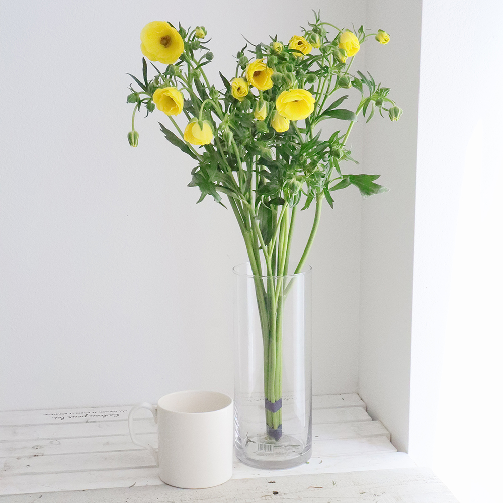 生花】ラックス系ラナンキュラス ピュタロス(黄色)【OT】 - 花材通販は