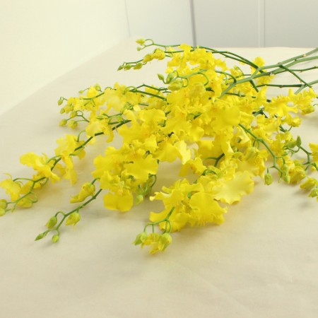 【生花】【SYU】オンシジューム(黄色)(L-2L)★ボリューム割