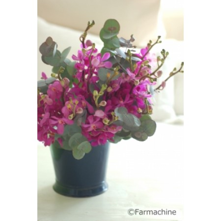 生花 モカラ ピンク M Or 43 通販 はなどんやアソシエ 生花 モカラ ピンク M Or 43 通販 はなどんやアソシエ