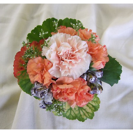 Hotsale 直前 カーネーション ドヌーブ 淡オレンジ 通販 はなどんやアソシエ