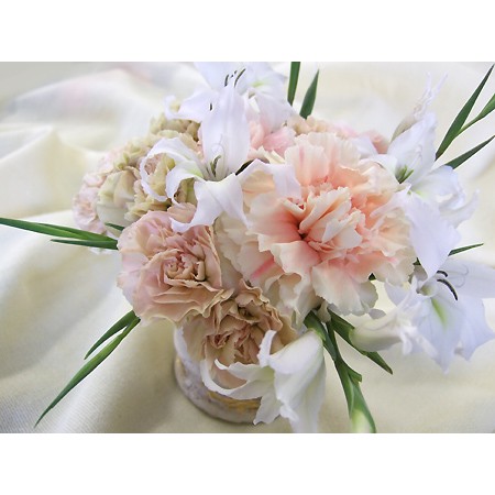 Hotsale 直前 カーネーション ドヌーブ 淡オレンジ 通販 はなどんやアソシエ