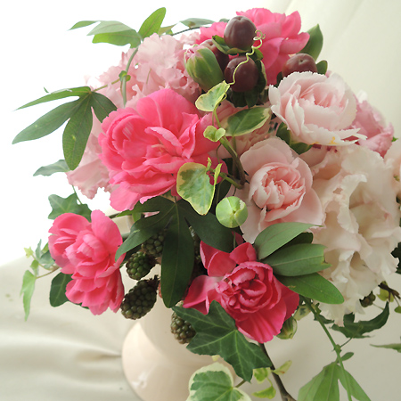 生花 関島園芸 Spカーネ センチメンタル ピンク 通販 はなどんやアソシエ 生花 関島園芸 Spカーネ センチメンタル ピンク 通販 はなどんやアソシエ