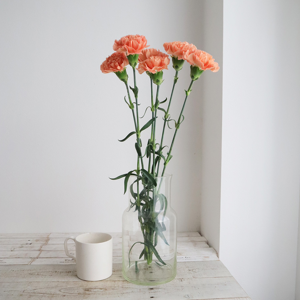 直前 国産カーネーション オレンジ オレンジマジックなど 60cm程度 生花 通販 はなどんやアソシエ 直前 国産カーネーション オレンジ オレンジマジックなど 60cm程度 生花 通販 はなどんやアソシエ