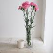 【08直前】輸入カーネーション　ピンクピクセル(ピンク絞り)