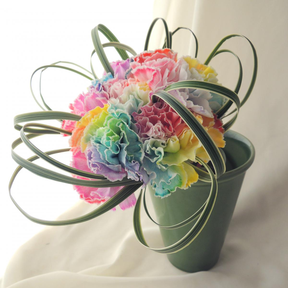 生花】国産レインボーカーネ(パステル)>5/11・12届日限定【5本売り】早