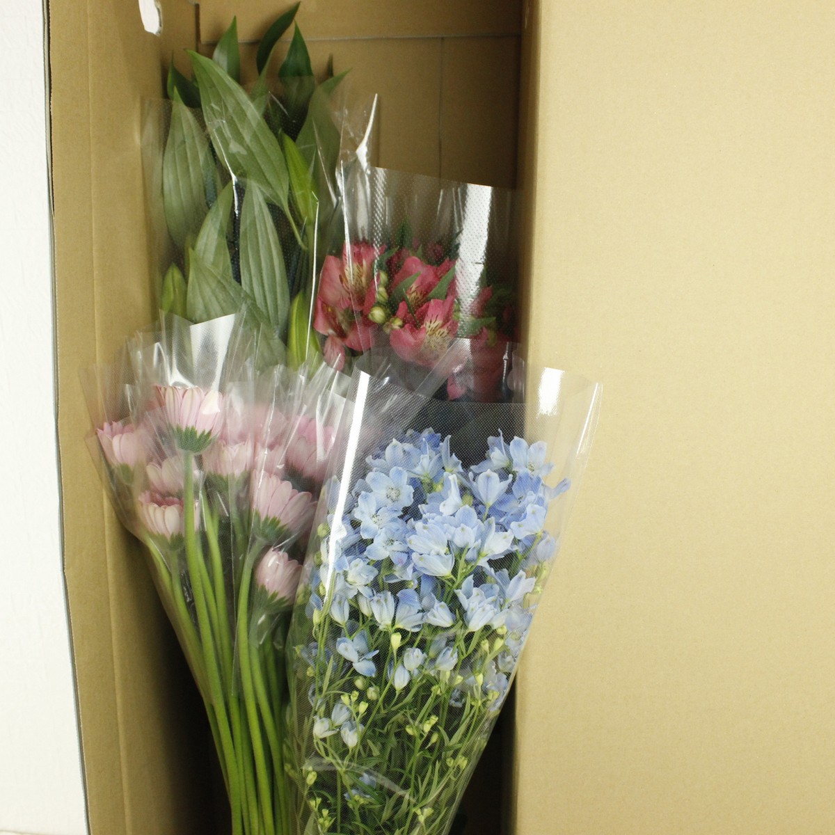 生産地応援 いろんな産地さんのお花アソートセット 花市場セレクト 送料無料 5月2日 3日お届け限定 通販 はなどんやアソシエ 生産地応援 いろんな産地さんのお花アソートセット 花市場セレクト 送料無料 5月2日 3日お届け限定 通販 はなどんやアソシエ